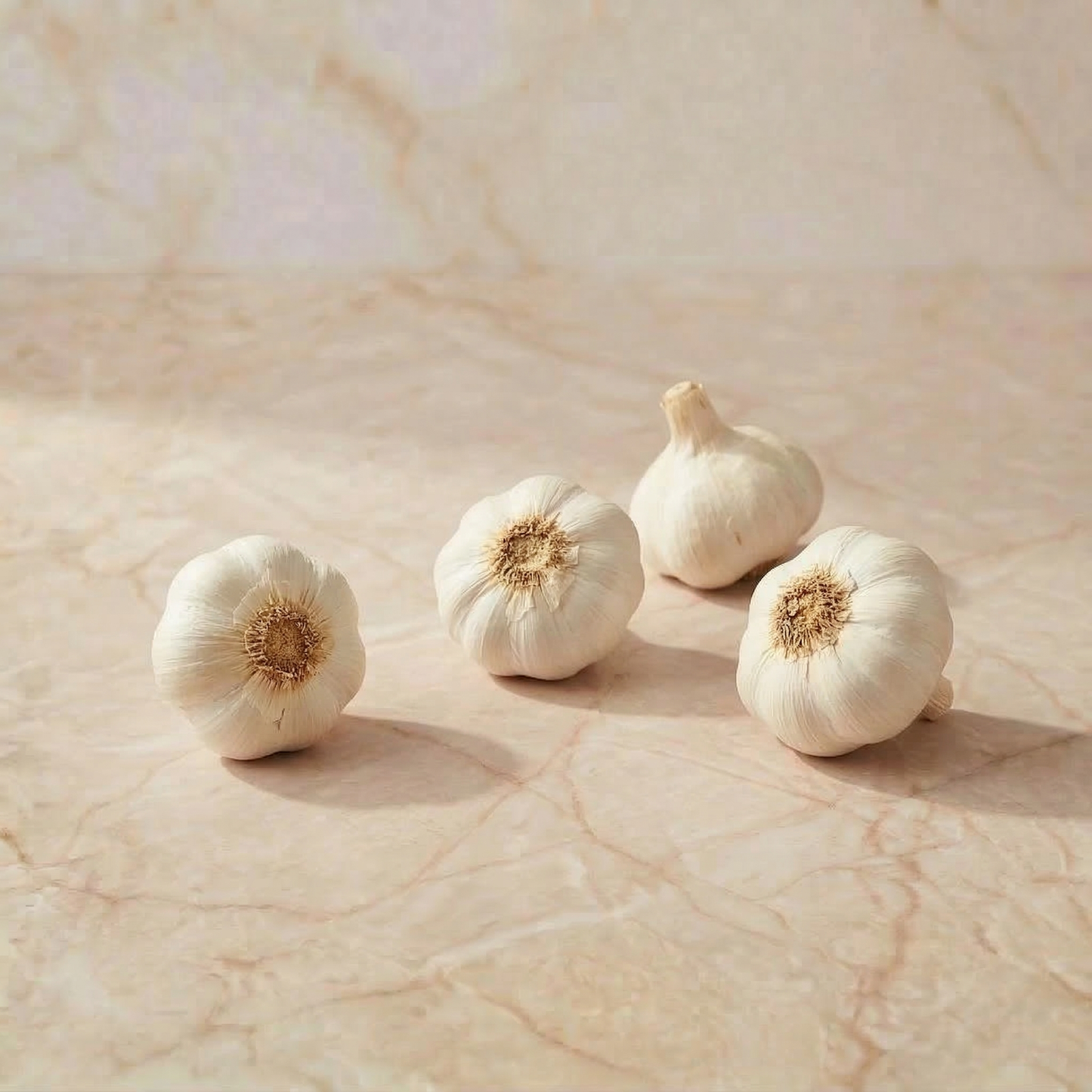 Ail • Blanc