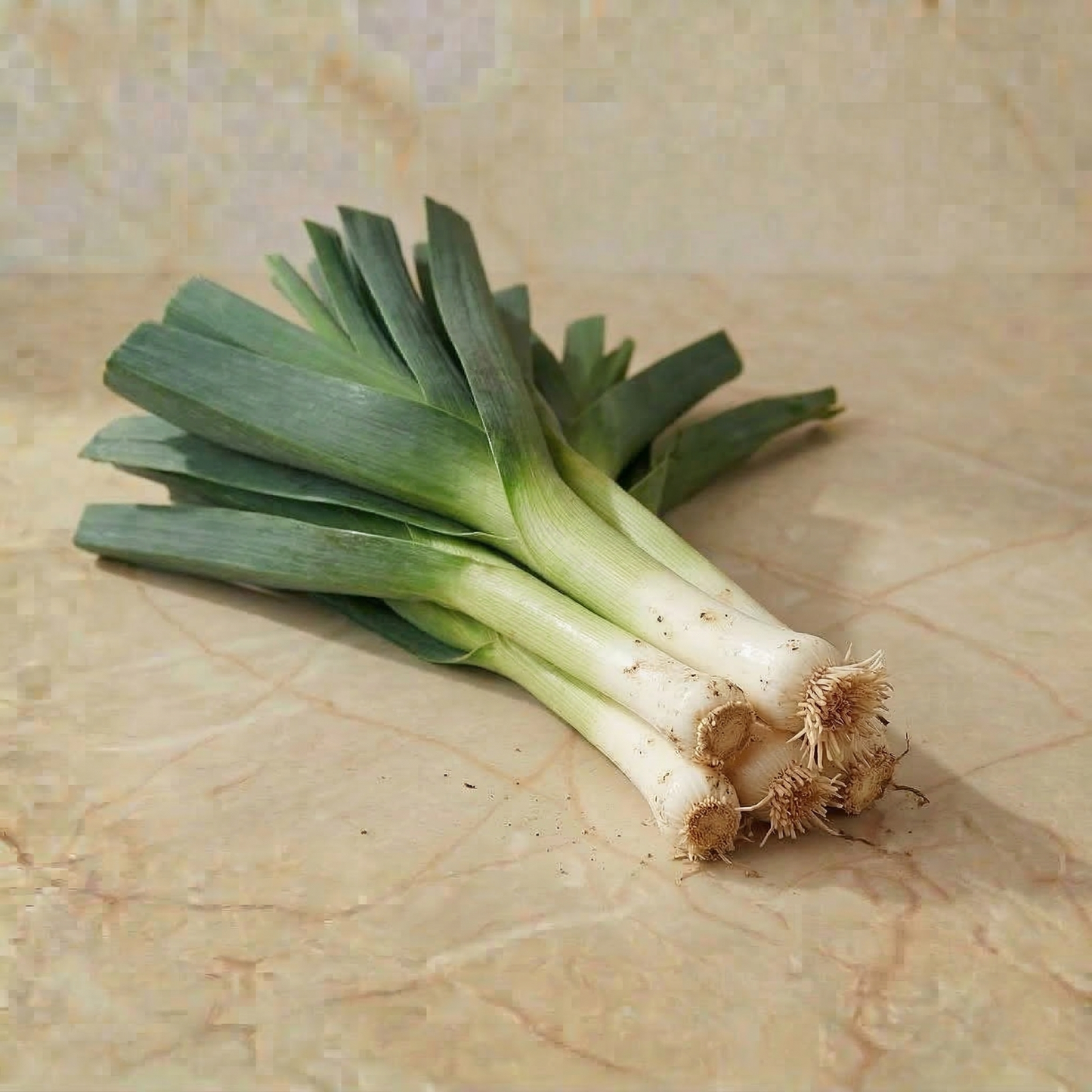 Poireau