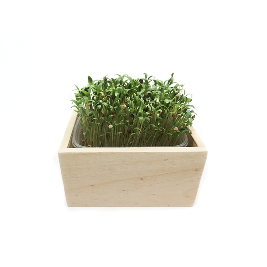 Apfelsaft • Rote Bete