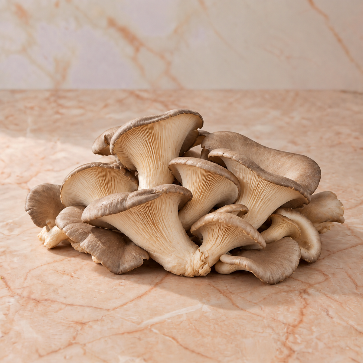 Pleurote